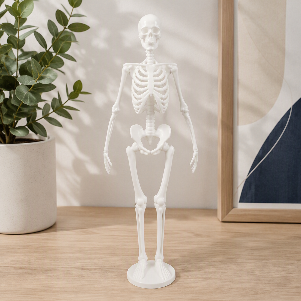 Full-Body Human Skeleton Anatomy Statue Desktop Display Ornament for Home and Study Decor — main product view