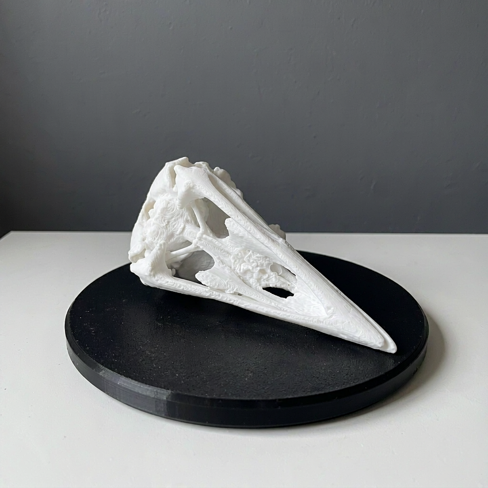 Realistic Raven Skull Ornament Gothic Home Decor for Holiday Tabletop Display — additional product view