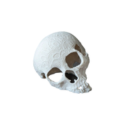 Carved Skull Aquarium Decoration Hollow Hideout for Fish, Shrimp, Crayfish and Hermit Crabs Tank Ornament — white background