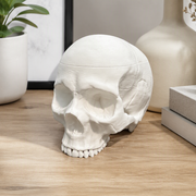 Realistic Skull Shaped Lidded Storage Box, Decorative Trinket Container — main product view