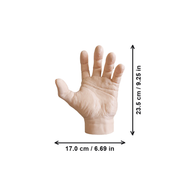 Realistic Freestanding Hand Sculpture, Tabletop Decorative Ornament for Home Display — dimensions