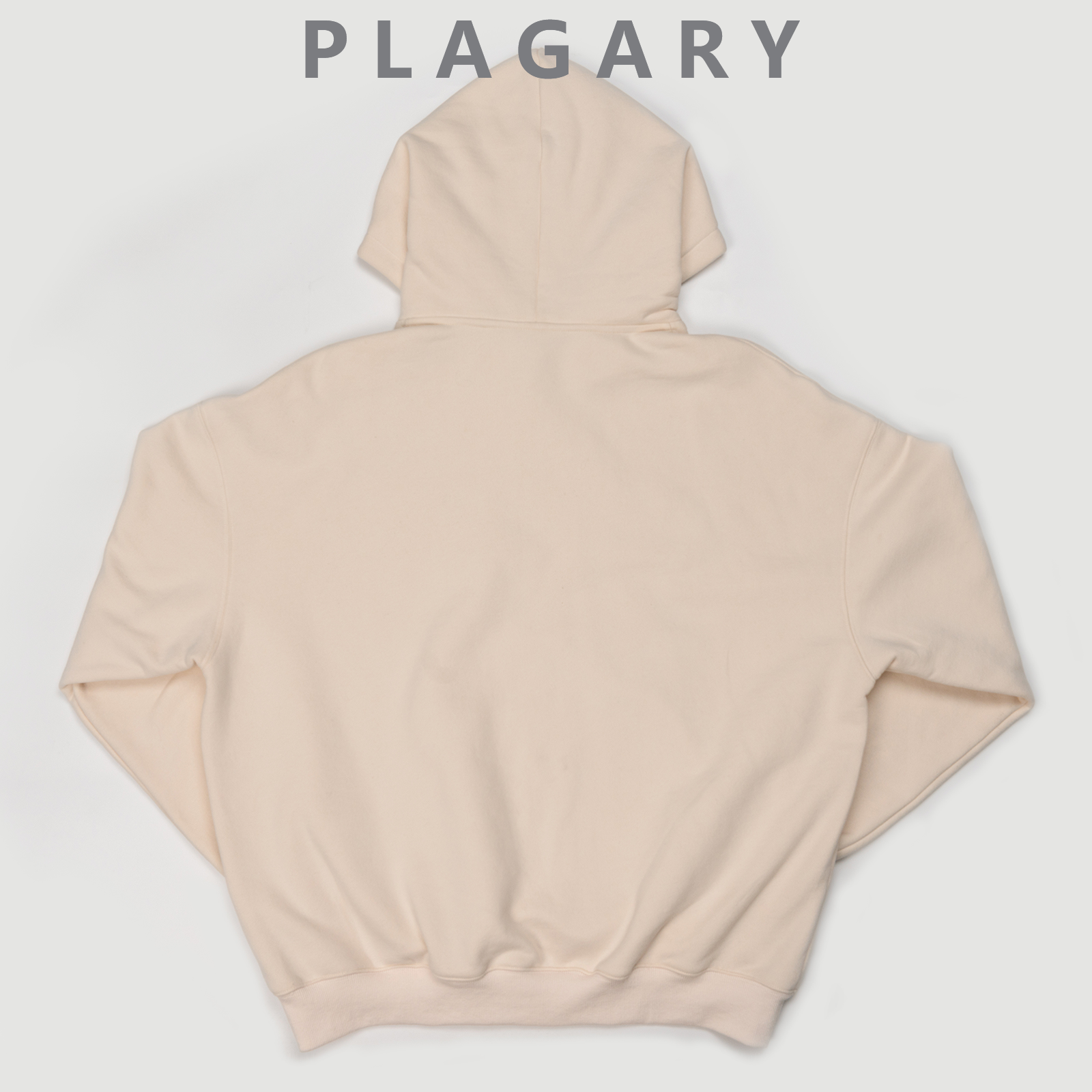 PLAGARY EMBROIDERED HOODIE W