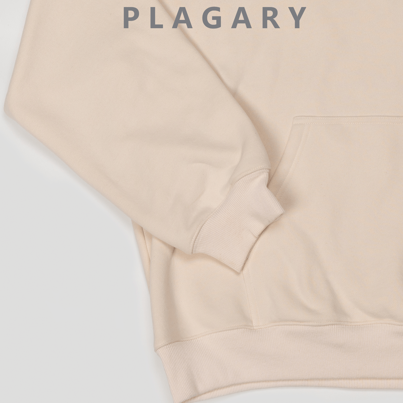 PLAGARY EMBROIDERED HOODIE W